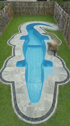 MsMstcZ02HM s21